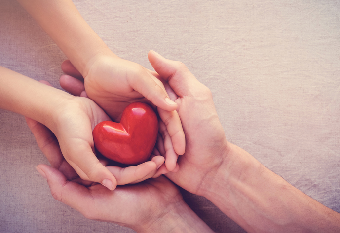 adult and child hands holiding red heart, health care love, give
